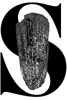 Schauspiel Stuttgart Bildmarke