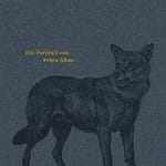 Literatur: „Wölfe“ von Petra Ahne