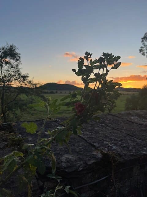 Große Schubertiade 2025 Stimmung Barbara Röder