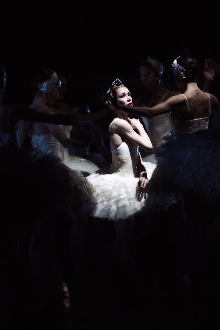 Schwanensee Partrice Bart Unter den Linden