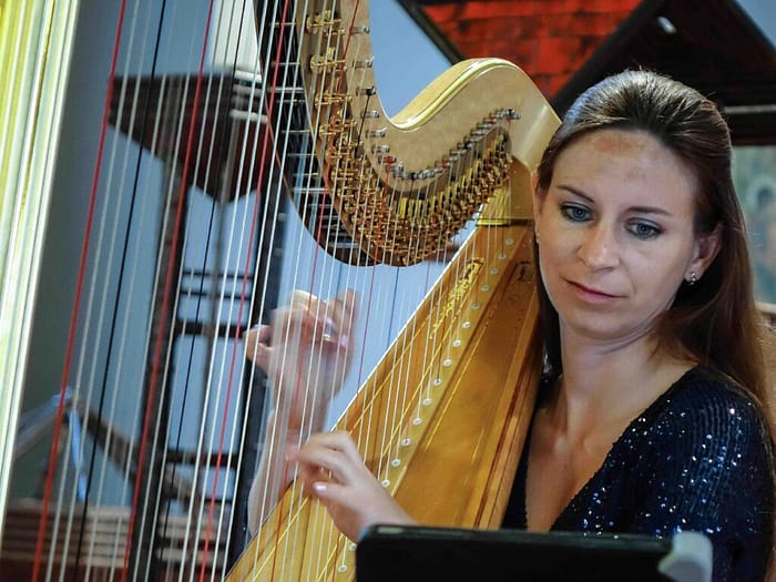 Duo-Les-Fantastiques-Harfe