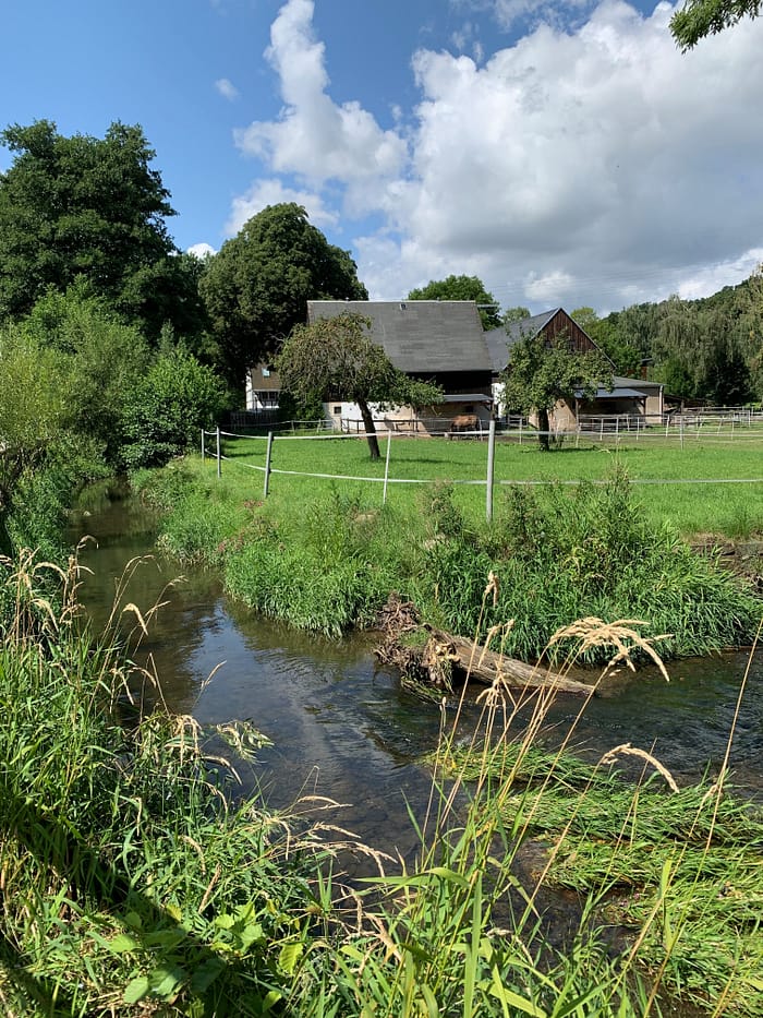Chemnitz Kulturhauptstadt 2025 Rottluff Wiese