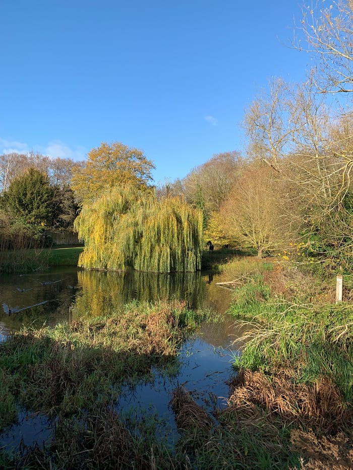 Grantchester Rupert Brooke See Natur Idylle