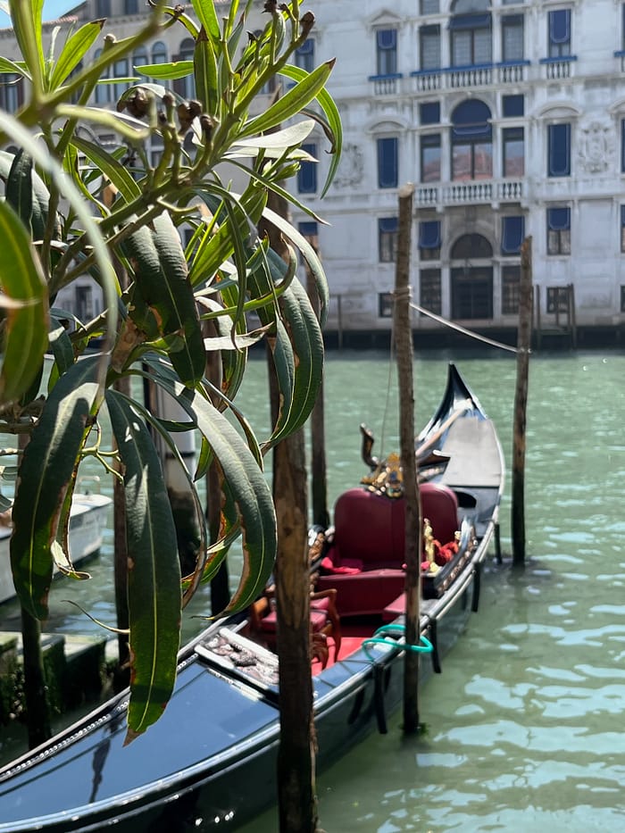 Venedig-Barbara-Roeder